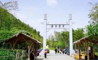 5月12日：徒步貢茶古道，天然氧吧，綠色之旅
